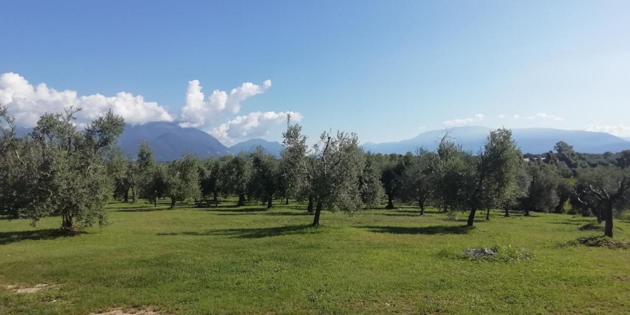 Agriturismo Fioralba ポルペナッツェ・デル・ガルダ エクステリア 写真