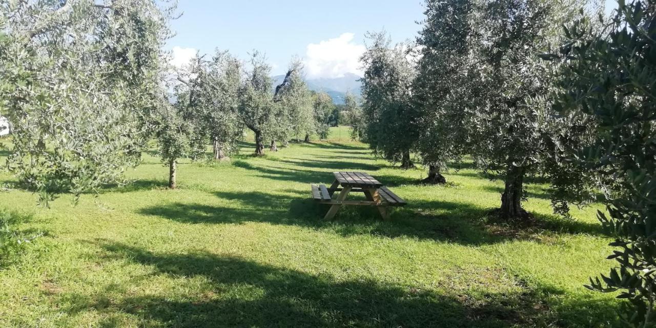 Agriturismo Fioralba ポルペナッツェ・デル・ガルダ エクステリア 写真