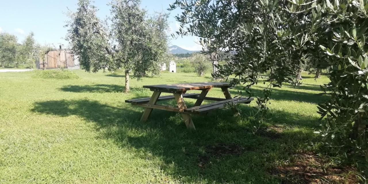 Agriturismo Fioralba ポルペナッツェ・デル・ガルダ エクステリア 写真