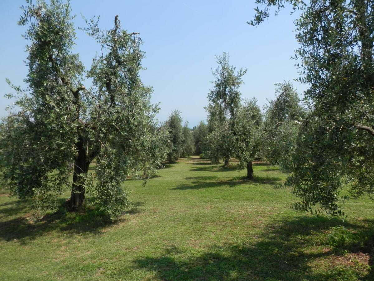 Agriturismo Fioralba ポルペナッツェ・デル・ガルダ エクステリア 写真