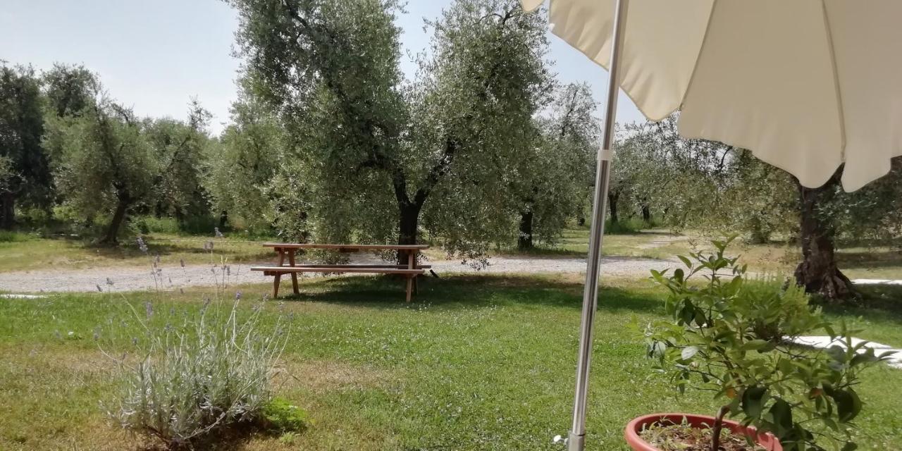 Agriturismo Fioralba ポルペナッツェ・デル・ガルダ エクステリア 写真