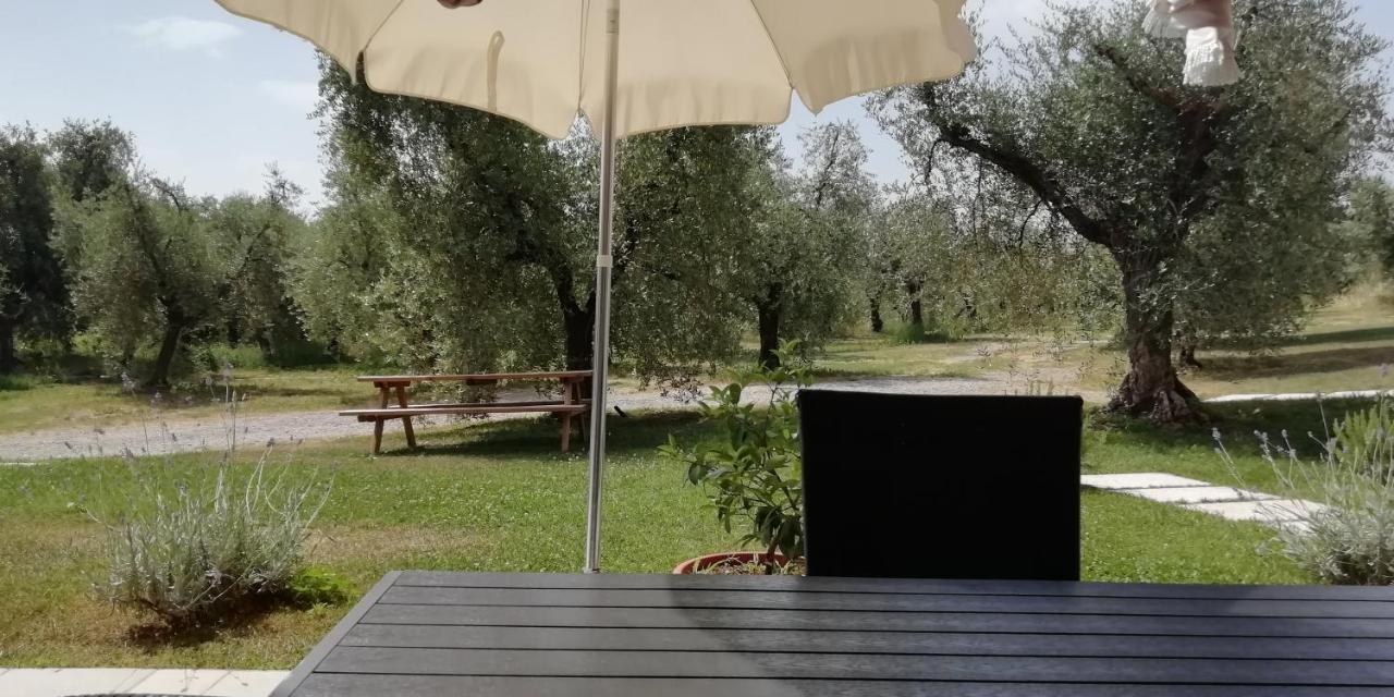 Agriturismo Fioralba ポルペナッツェ・デル・ガルダ エクステリア 写真