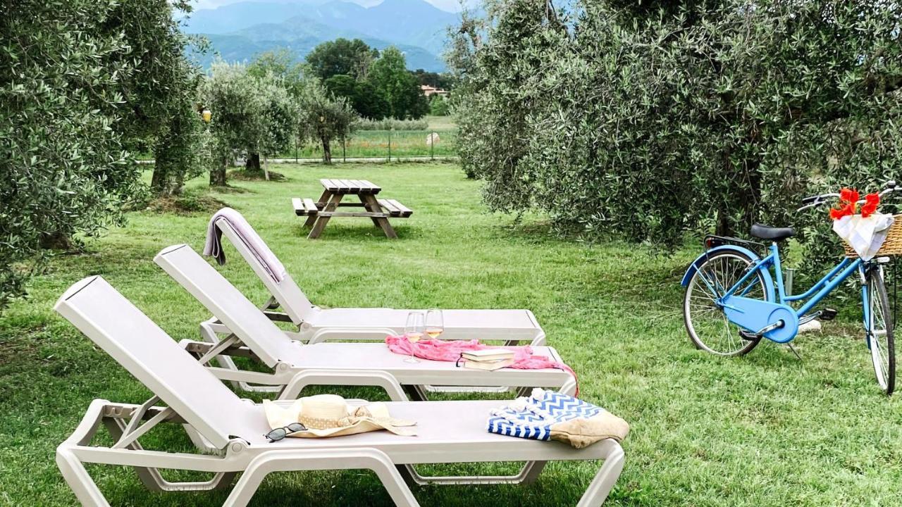 Agriturismo Fioralba ポルペナッツェ・デル・ガルダ エクステリア 写真