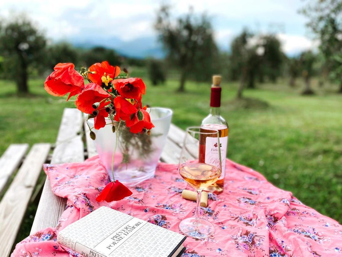 Agriturismo Fioralba ポルペナッツェ・デル・ガルダ エクステリア 写真