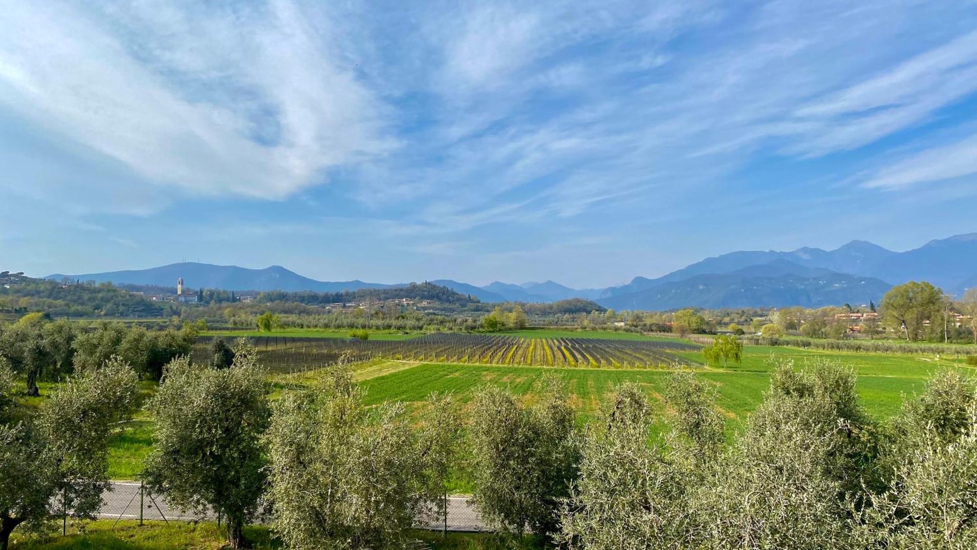 Agriturismo Fioralba ポルペナッツェ・デル・ガルダ エクステリア 写真