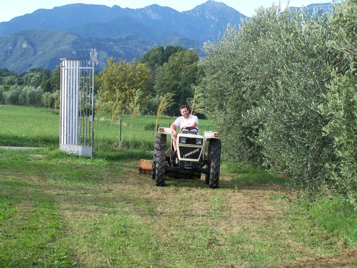 Agriturismo Fioralba ポルペナッツェ・デル・ガルダ エクステリア 写真
