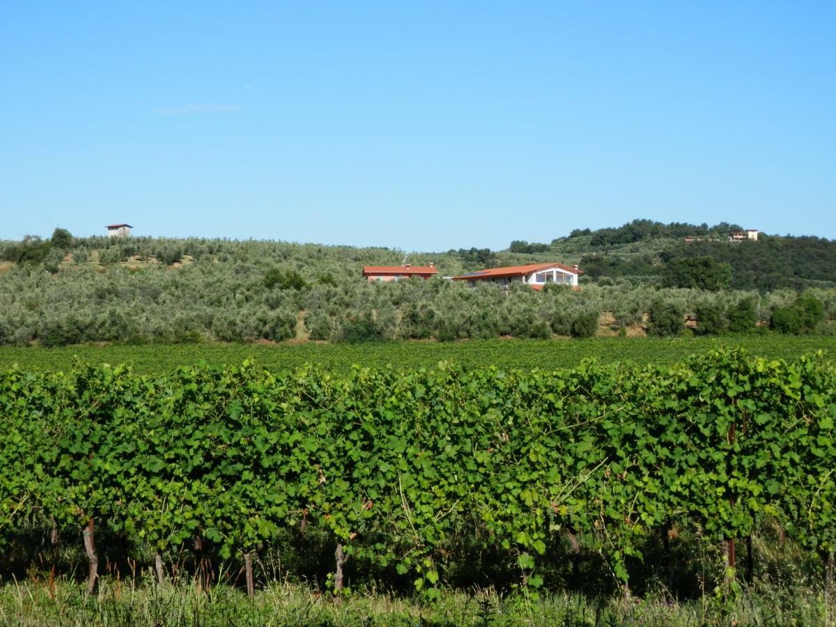 Agriturismo Fioralba ポルペナッツェ・デル・ガルダ エクステリア 写真